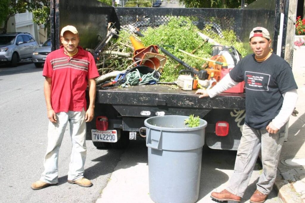 Expert Tree Services in San Francisco, covering San Mateo County and Alameda County